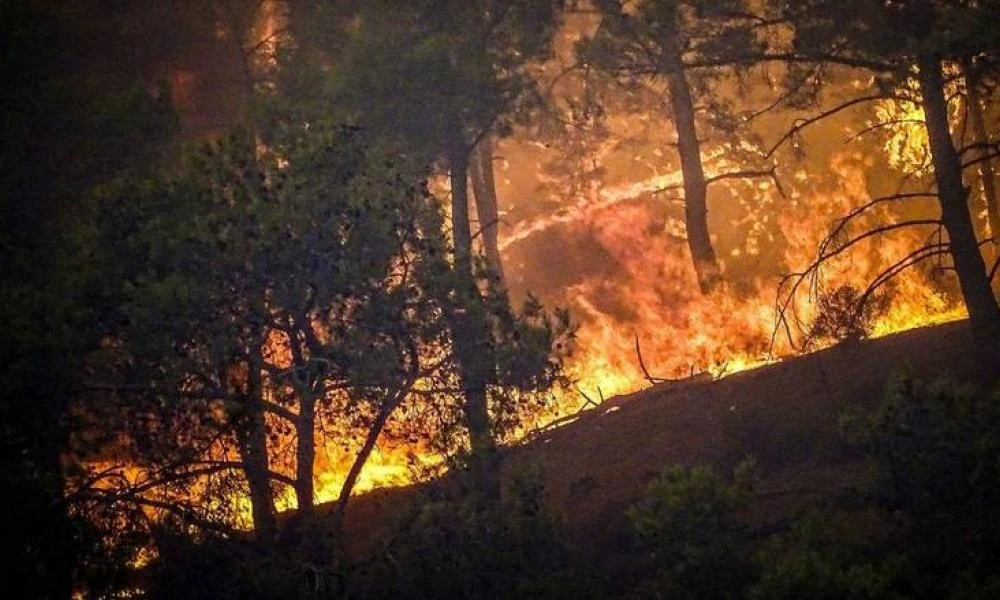 Πυροσβεστική: Στις 56 οι αγροτοδασικές πυρκαγιές το τελευταίο 24ωρο